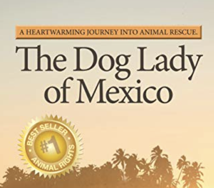 Giving hope to unwanted cats and dogs in Mexico