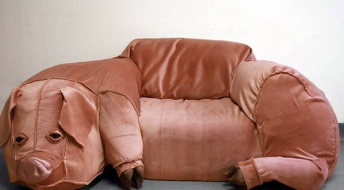 Stop hogging the sofa!