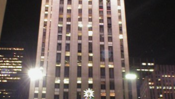 Tiny owl found inside Rockefeller Christmas tree