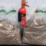 Suspected cannabis worth £190,000 seized in Belfast