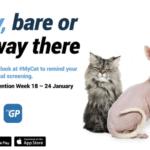 App under fire for asking women to share ‘bushy’ or ‘bare’ cat pics