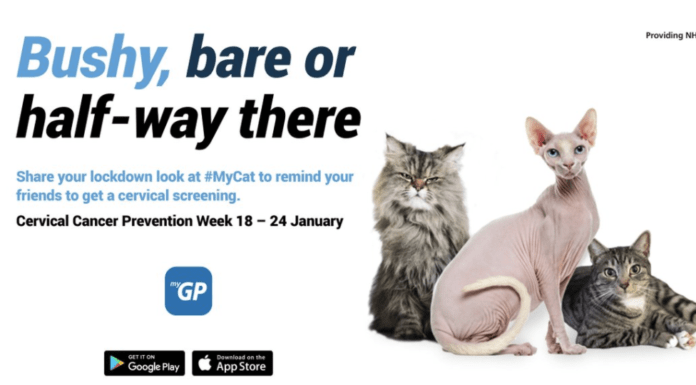 App under fire for asking women to share ‘bushy’ or ‘bare’ cat pics