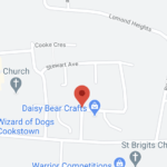 House and car damaged in suspected petrol bomb attack in Cookstown