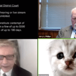 WATCH: ‘I’m not a cat’ – says lawyer