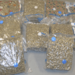 Man arrested and over £500,000 of cannabis seized from lorry at Larne Harbour