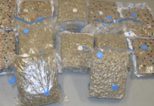 Man arrested and over £500,000 of cannabis seized from lorry at Larne Harbour