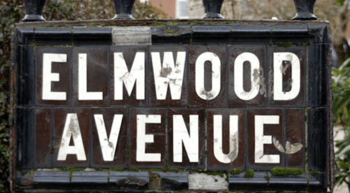 Elmwood Avenue most ‘Instagrammable’ street