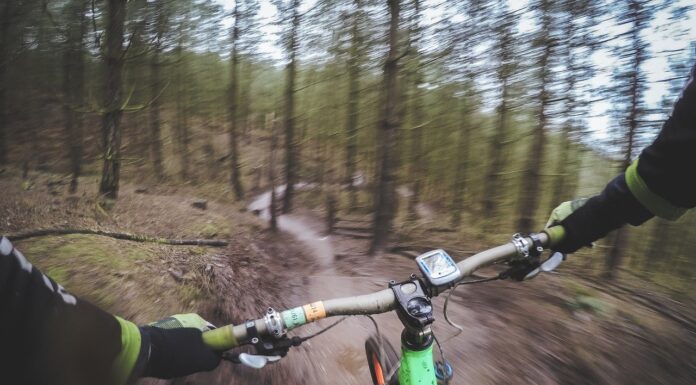 Northern Ireland is a nation of thrill-seekers!