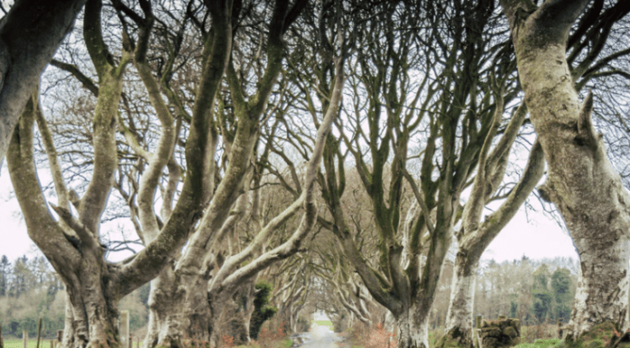 Enjoy a Game of Thrones road trip