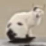 Is it a cat? Is it a dog?