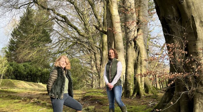 Co Antrim women sow seeds of business success
