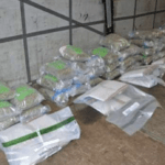 Two arrested and £1.8m of cocaine and cannabis seized in Belfast Harbour