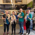 Eight-week old puppies abandoned in field in South Armagh