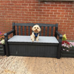 Paws for thought in Larne High’s therapy dog garden