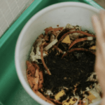 Get a FREE bag of peat-free compost