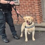Man arrested after drugs found in child’s bedroom