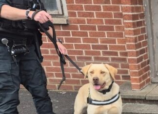 Man arrested after drugs found in child’s bedroom